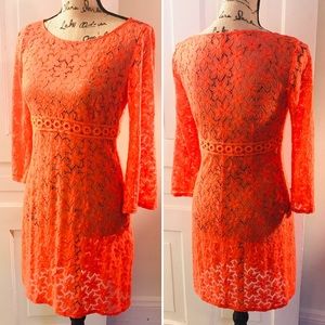 Laundry by Shelli Segal Orange Lace Sheer Dress